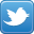 The Perfect Word Twitter